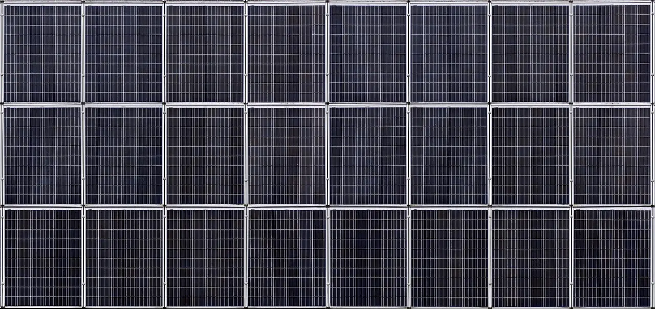 Multitasking in magenta: Colored solar panels could help farms grow crops and generate electricity on shared land
