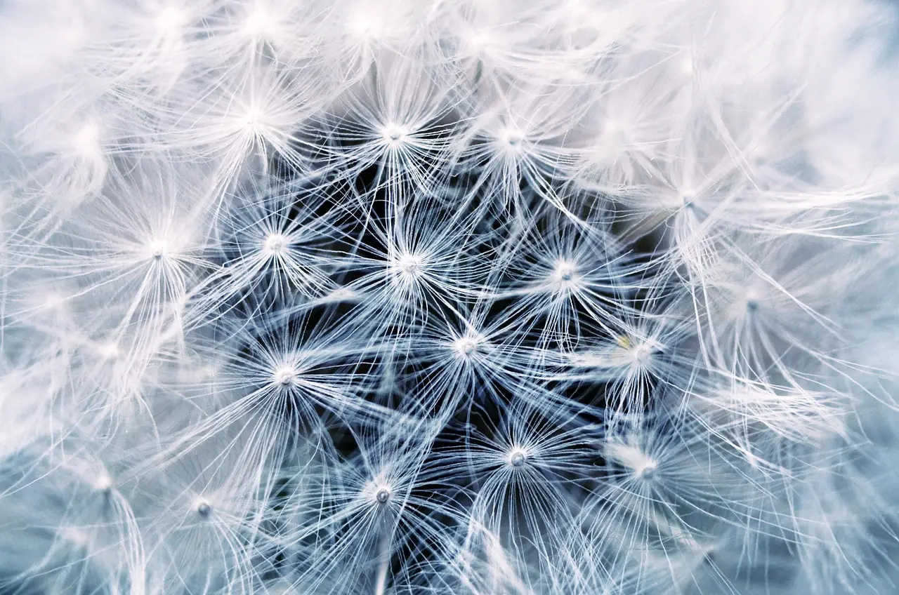 Semiconductor verification startup VerifAIX raises $5 Mn in seed round - Entrackr