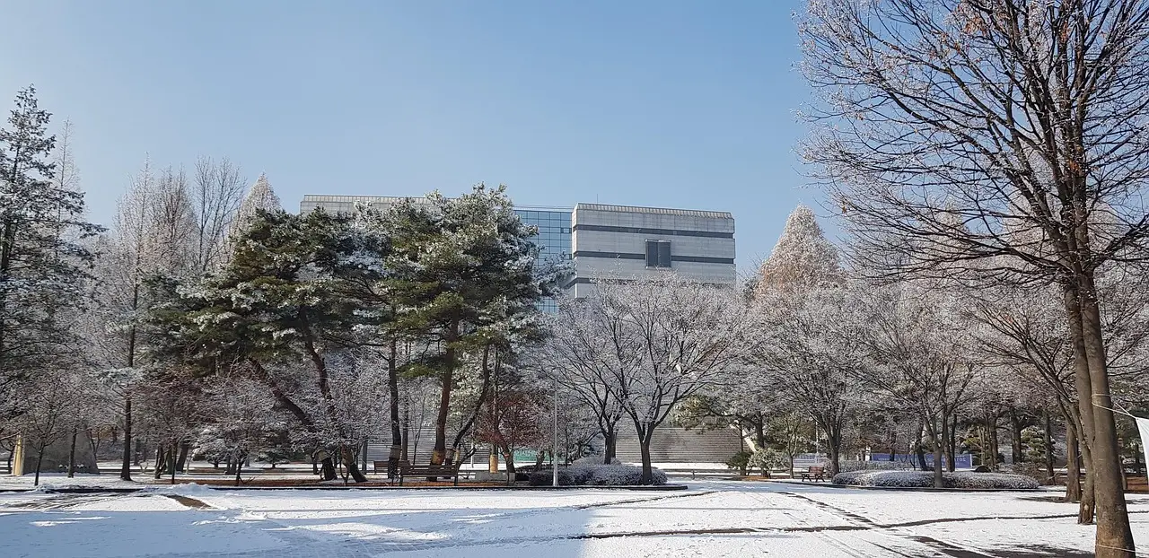 “Semiconductors are a ‘timing industry’” ... Bold, preemptive investment in Giheung and Hwaseong - 매일경제